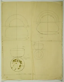 partie d'un ensemble de dessins Boite à menthe  Circonfèrence de la boite à Menthe 1ere  Circonférence de la bonbonnière 1968.102.5272  Photo Mucem