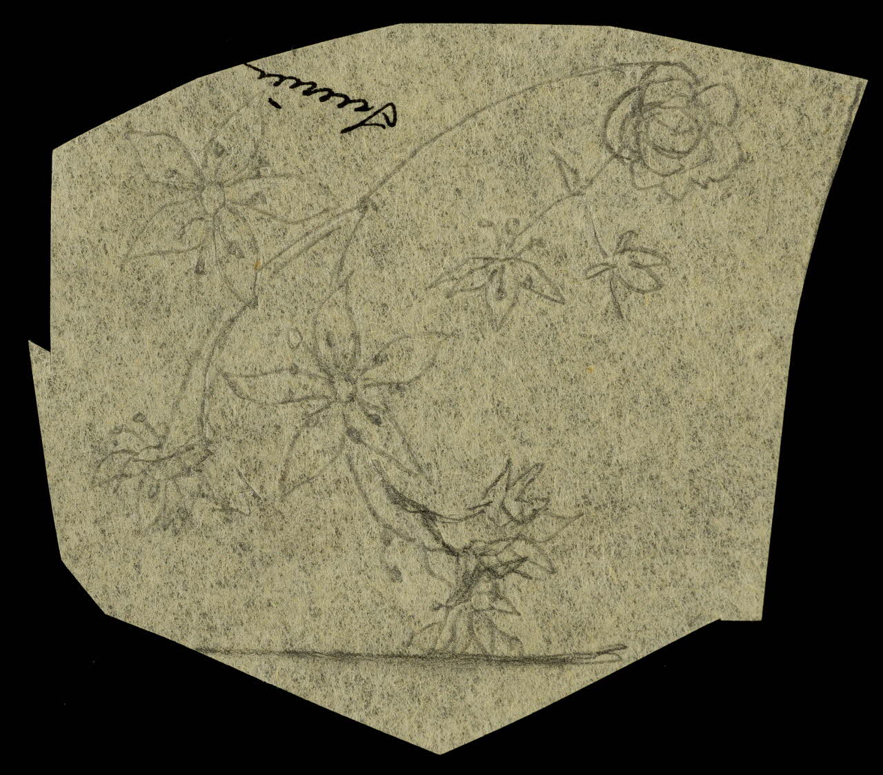 partie d'un ensemble de dessins Sucrier 1968.102.5300.1 Photo Mucem