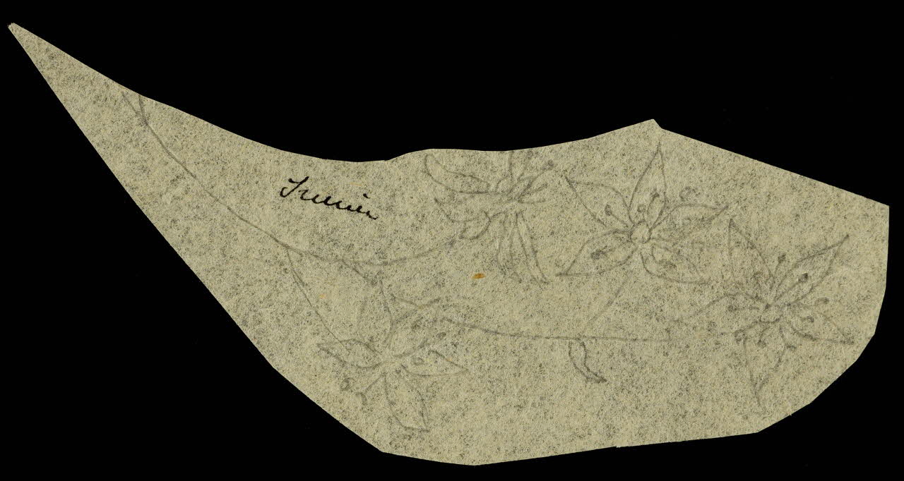 partie d'un ensemble de dessins Sucrier 1968.102.5300.4 Photo Mucem