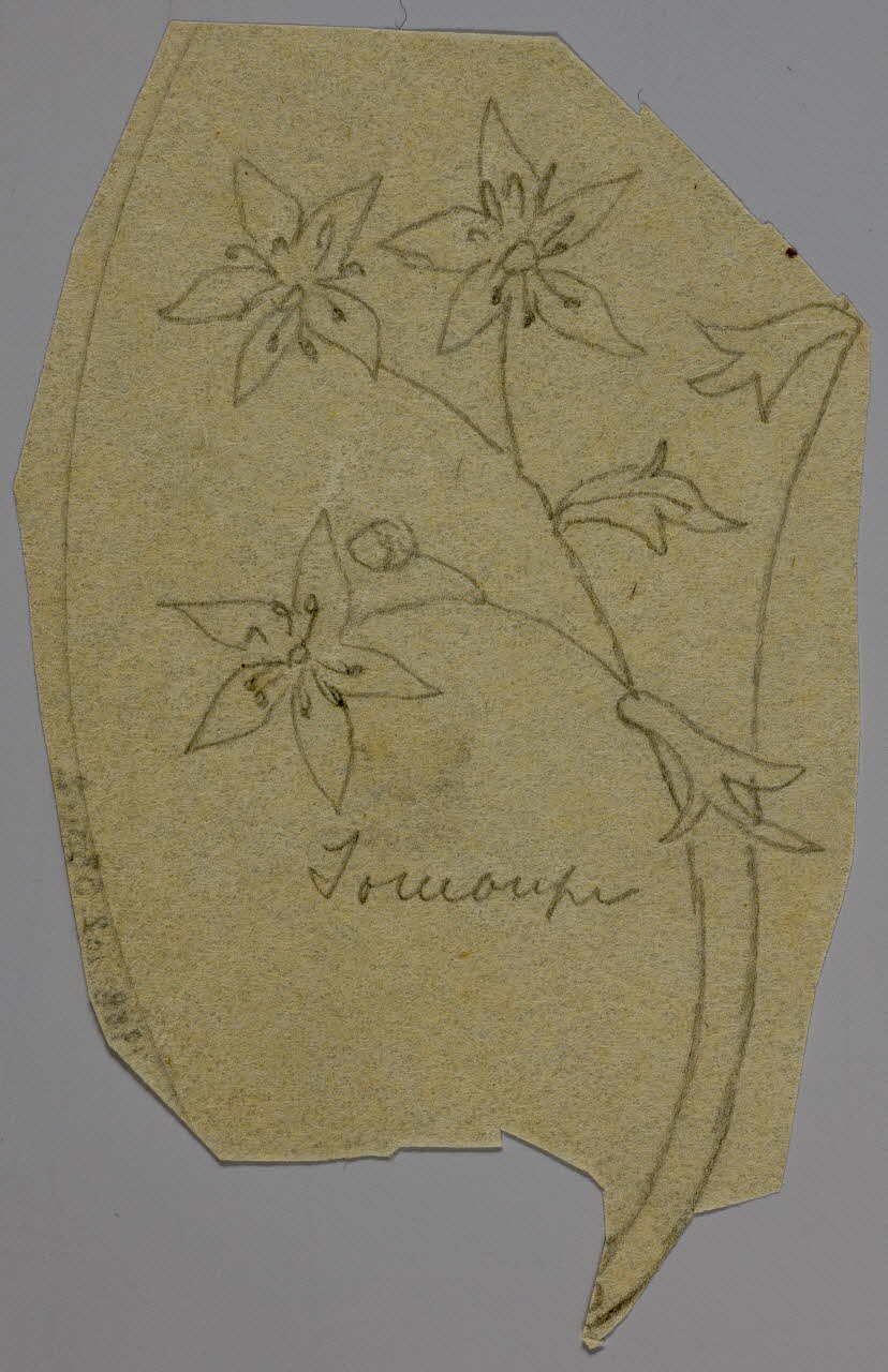 partie d'un ensemble de dessins Soucoupe 1968.102.5301.2 Photo Mucem