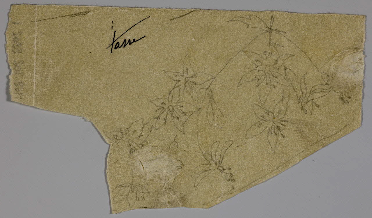 partie d'un ensemble de dessins tasse 1968.102.5302.1 Photo Mucem