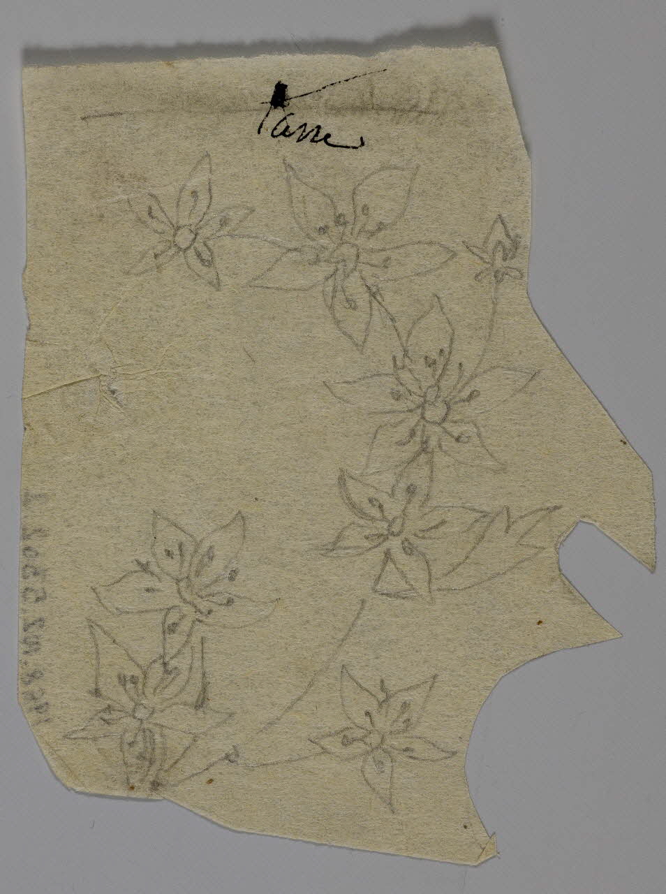 partie d'un ensemble de dessins Tasse 1968.102.5302.2 Photo Mucem