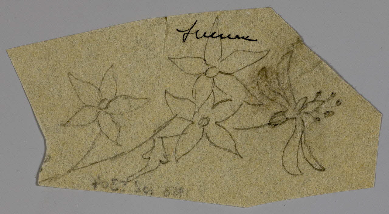 partie d'un ensemble de dessins Sucrier 1968.102.5304 Photo Mucem