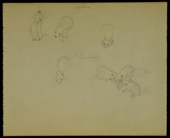 partie d'un ensemble de dessins Rats blancs  Souris blanches 1968.102.5312.2 Photo Mucem