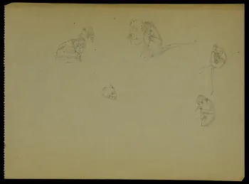 partie d'un ensemble de dessins Esquisses de singes 1968.102.5312.3  Photo Mucem