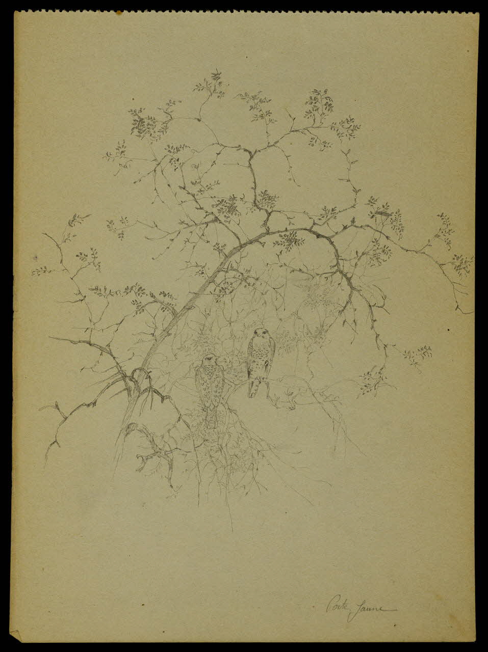partie d'un ensemble de dessins Porte Jaune 1968.102.5312.4 Photo Mucem