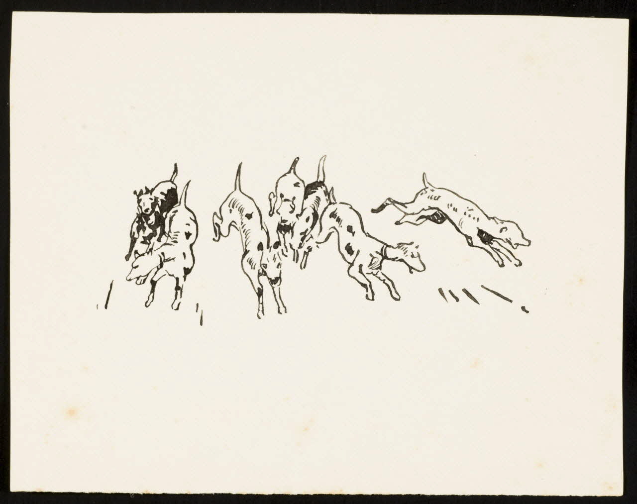 partie d'un ensemble de dessins Meute de chiens 1968.102.5328 Photo Mucem