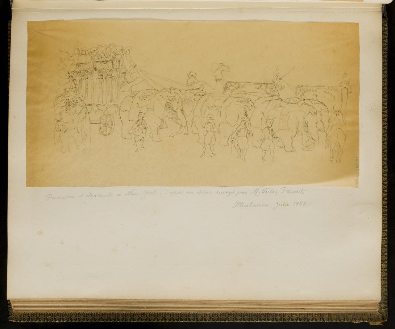partie d'un ensemble de dessins Procession d'éléphants à New-York, d'après un dessin envoyé par M. Victor Prévost 1968.102.5339.117 Photo Mucem
