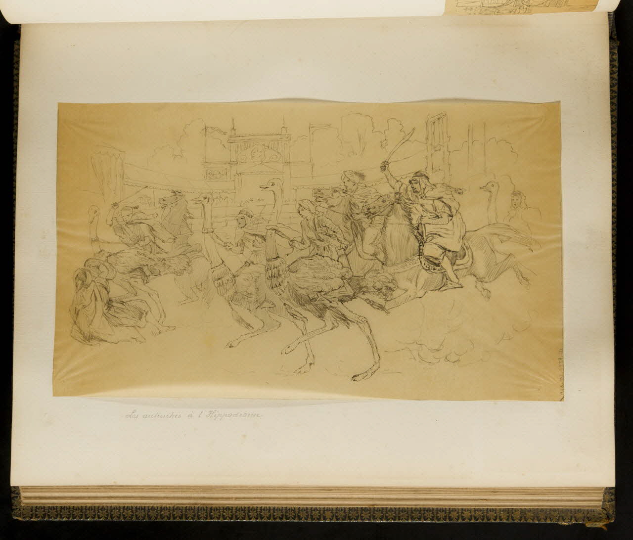 partie d'un ensemble de dessins Les autruches à l'Hippodrome 1968.102.5339.121 Photo Mucem