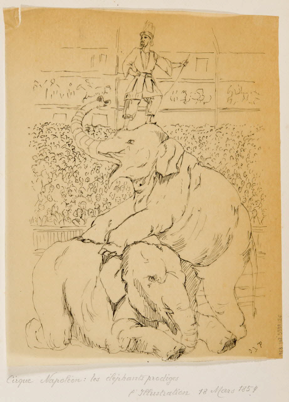 partie d'un ensemble de dessins Cirque Napoléon : les éléphants prodiges 1968.102.5339.126 Photo Mucem