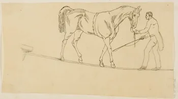 partie d'un ensemble de dessins Homme et cheval sur une corde 1968.102.5339.144 Photo Mucem