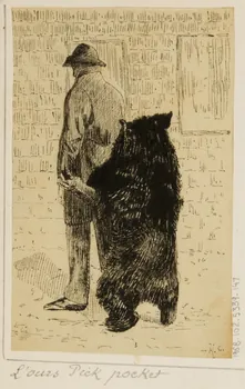 partie d'un ensemble de dessins L'ours Pick pocket 1968.102.5339.147 Photo Mucem