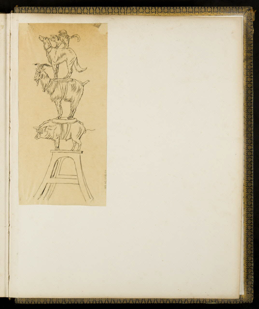 partie d'un ensemble de dessins Animaux équilibristes 1968.102.5339.154 Photo Mucem