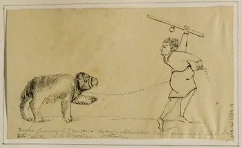 partie d'un ensemble de dessins Jongleur promenant un ours savant 1968.102.5339.18 Photo Mucem