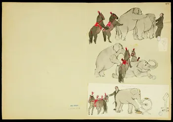 partie d'un ensemble de dessins Numéros de chevaux et d'éléphants et une femme-acrobate 1968.102.5351.25  Photo