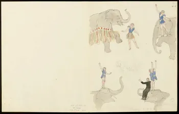partie d'un ensemble de dessins Eléphants d'Althoff 1968.102.5356.20  Photo