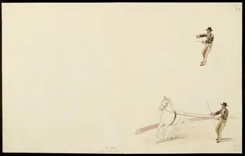 partie d'un ensemble de dessins Numéros d'acrobate-musiciens et dressage d'un cheval 1968.102.5357.16 Photo