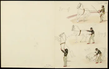 partie d'un ensemble de dessins les Philip 1968.102.5357.17 Photo