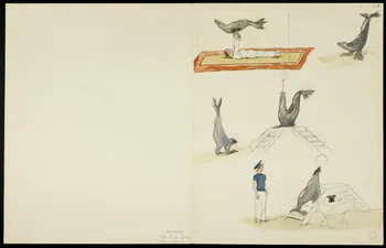 partie d'un ensemble de dessins Numéro d'otaries et numéro d'acrobate 1968.102.5360.4 Photo