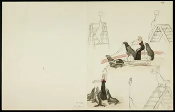 partie d'un ensemble de dessins Numéros d'otaries et d'acrobates 1968.102.5361.21  Photo