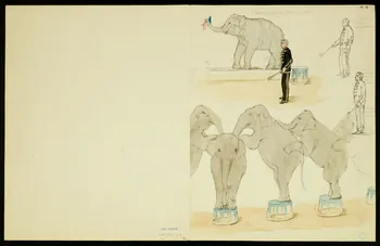 dessin Scènes de cirque 1968.102.5361.24 Photo
