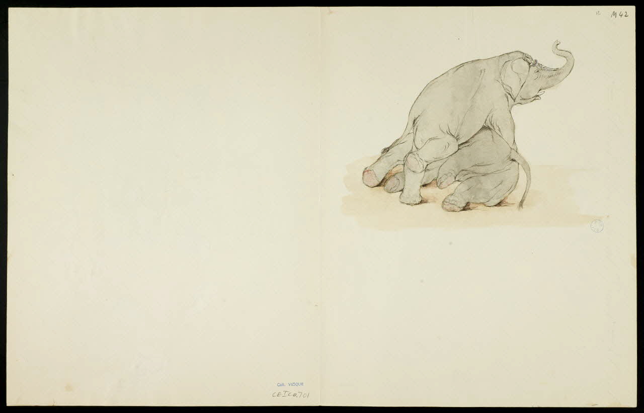 partie d'un ensemble de dessins Numéro d'éléphants 1968.102.5361.7 Photo