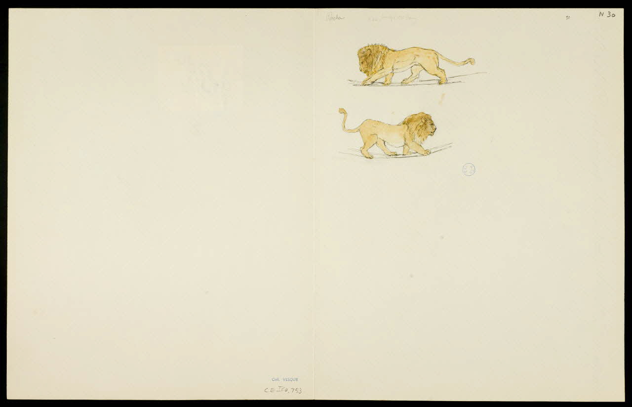 partie d'un ensemble de dessins Pacha 1968.102.5362.15 Photo