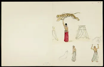 partie d'un ensemble de dessins Dresseur de tigres 1968.102.5362.8 Photo
