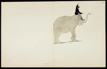 partie d'un ensemble de dessins Dresseur d'éléphant 1968.102.5363.21 Photo