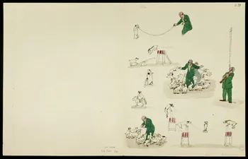partie d'un ensemble de dessins Chiens acrobates 1968.102.5363.8 Photo