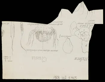 partie d'un ensemble de dessins Policier, femme et landau 1968.102.5365 Photo