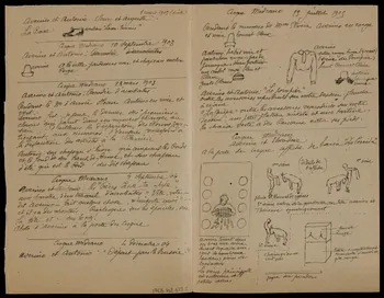 partie d'un ensemble de dessins Hassan Averino et Antonio 1968.102.617.2  Photo