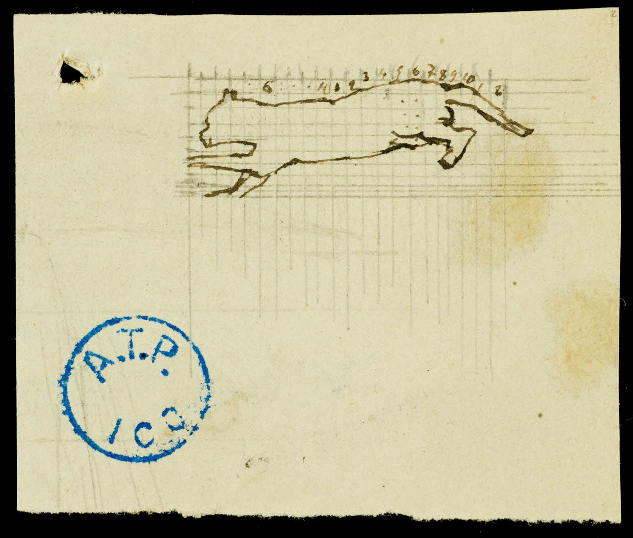 partie d'un ensemble de dessins Félin 1968.102.764.1 Photo