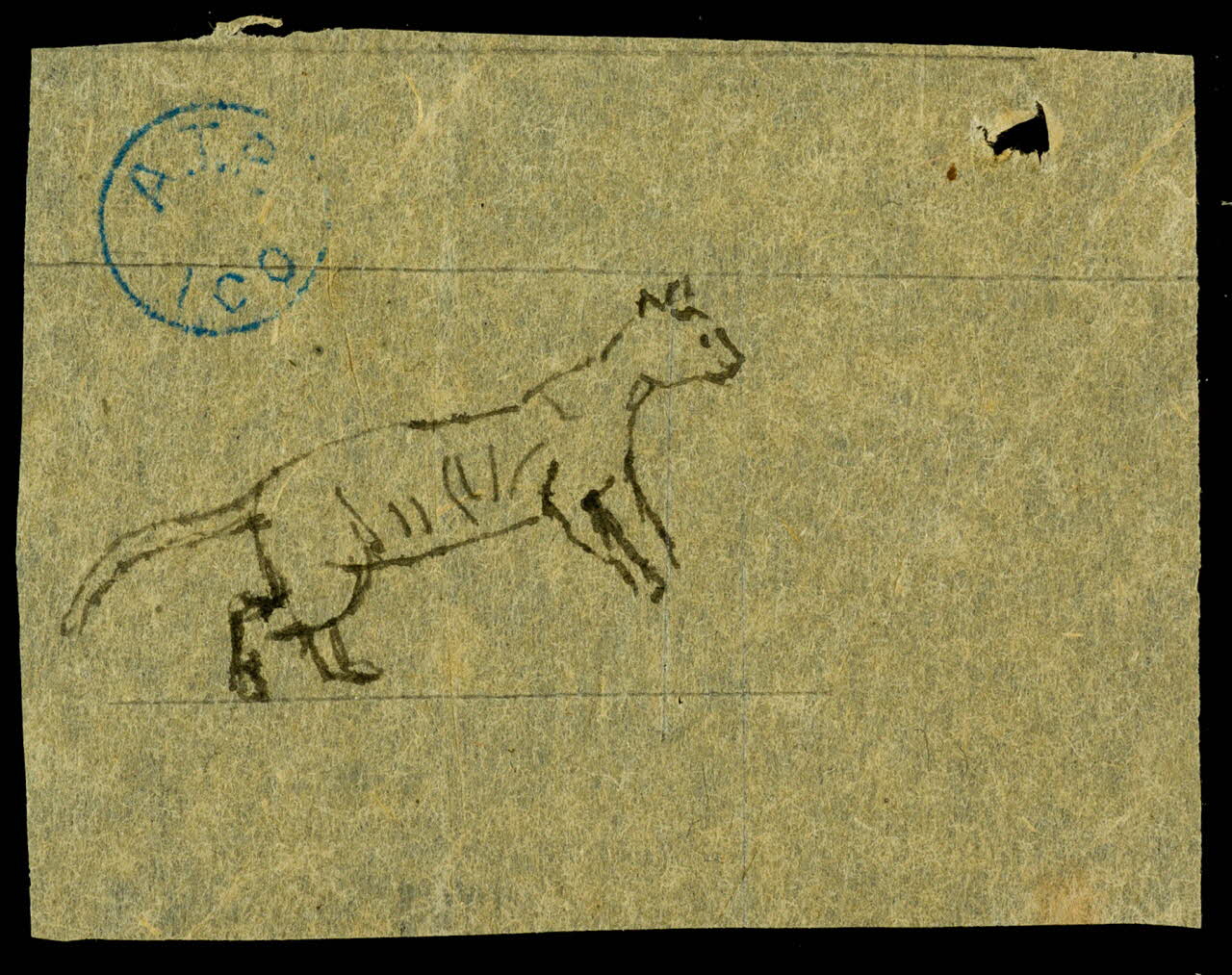 partie d'un ensemble de dessins Félin 1968.102.764.3 Photo