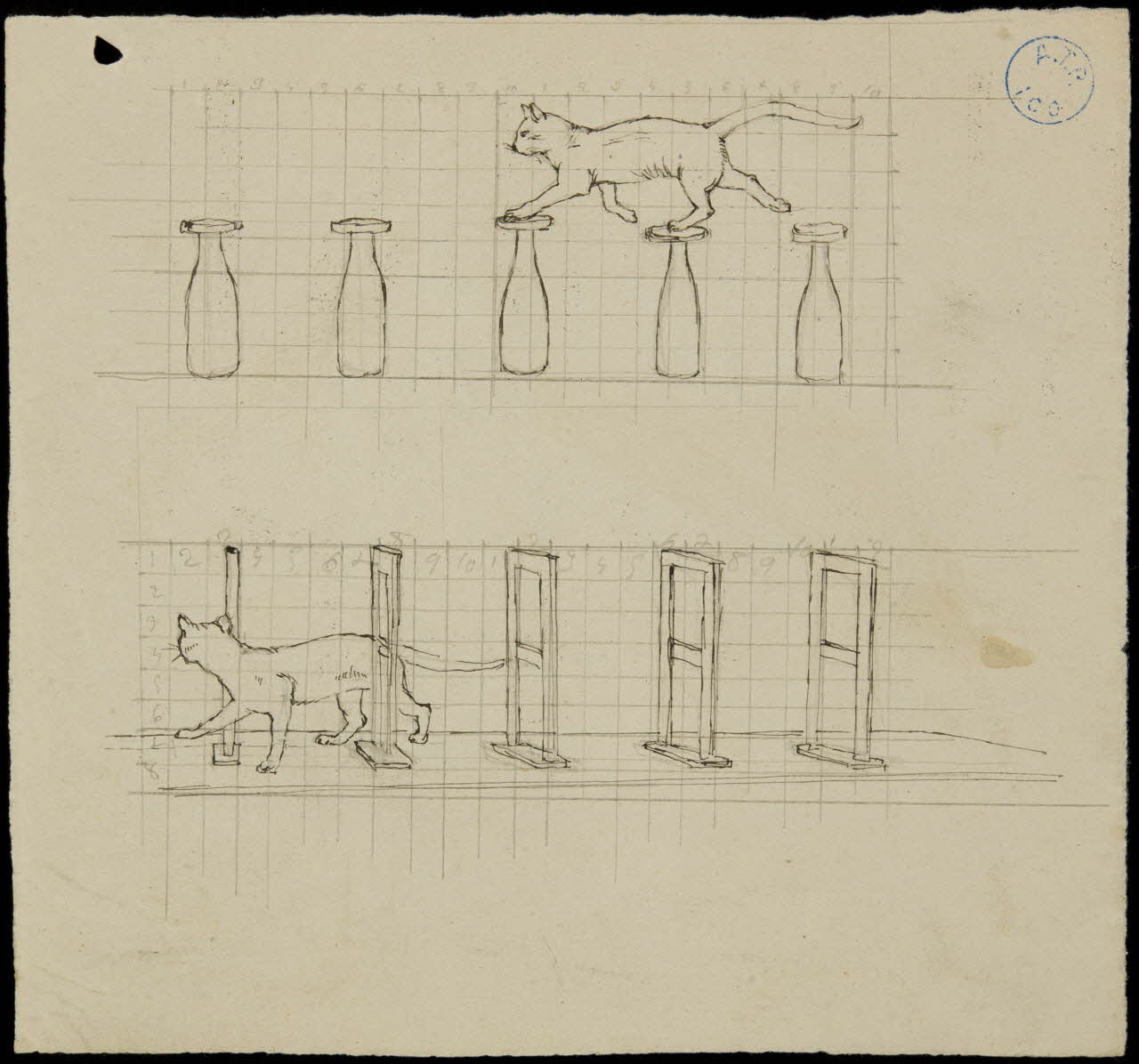 partie d'un ensemble de dessins Dressage d'un chat 1968.102.764.6 Photo
