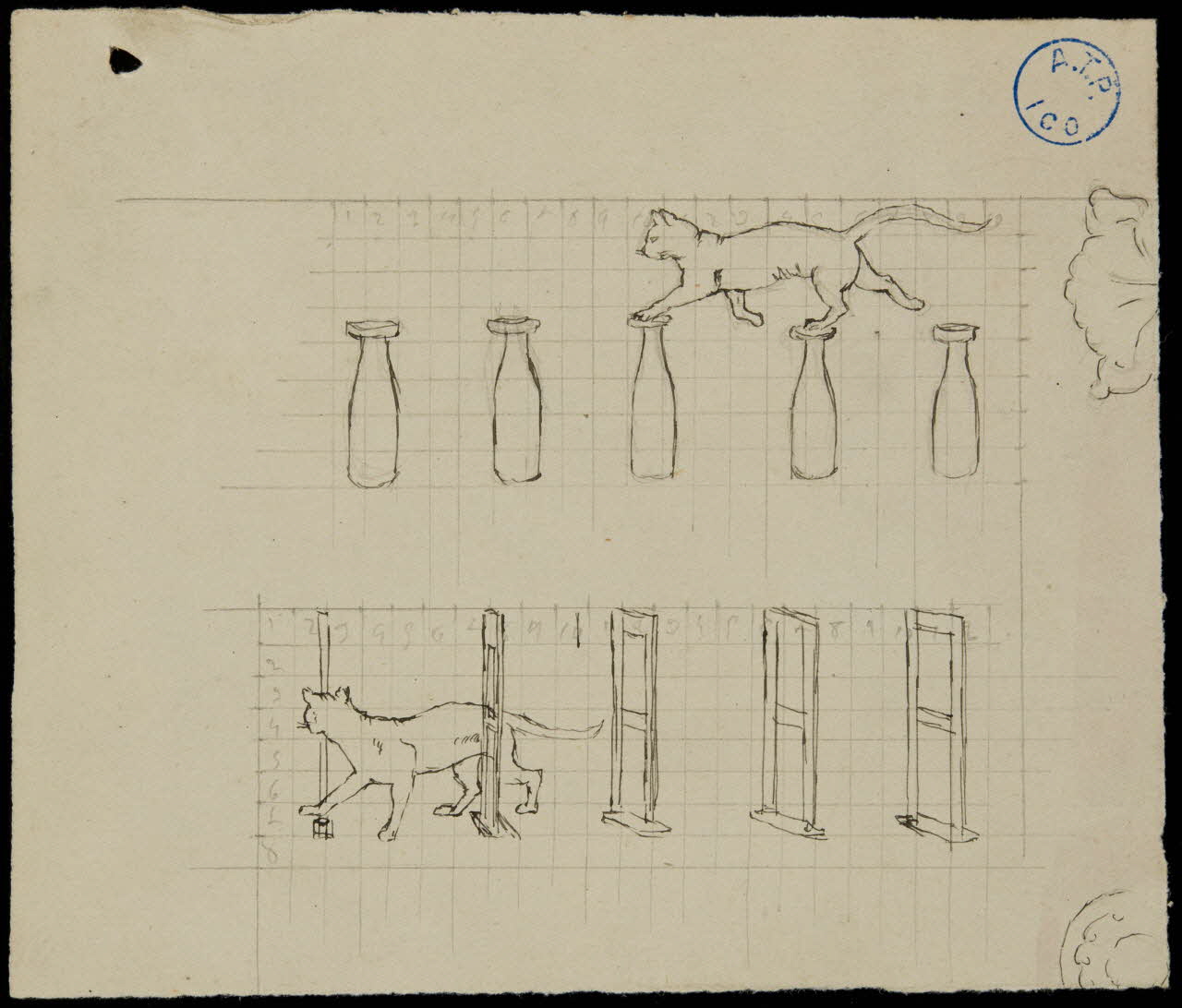 partie d'un ensemble de dessins Dressage d'un chat 1968.102.764.7 Photo