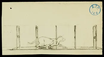 partie d'un ensemble de dessins Chat dressé passant sous des haies 1968.102.767.3 Photo
