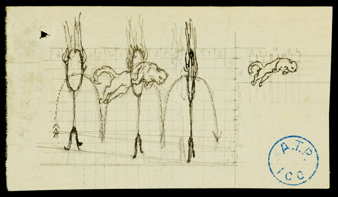 partie d'un ensemble de dessins Félin sautant dans des cerceaux de feu 1968.102.767.4 Photo