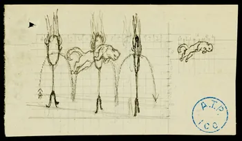 partie d'un ensemble de dessins Félin sautant dans des cerceaux de feu 1968.102.767.4 Photo