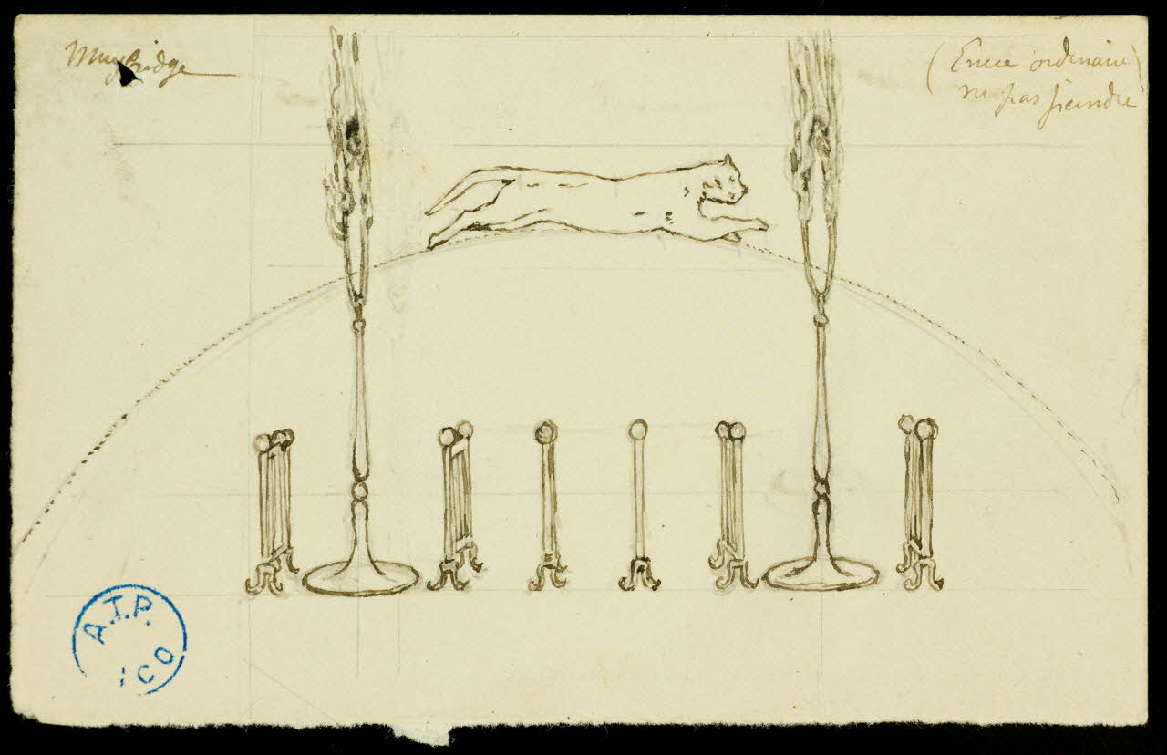 partie d'un ensemble de dessins Maybridge 1968.102.767.7 Photo