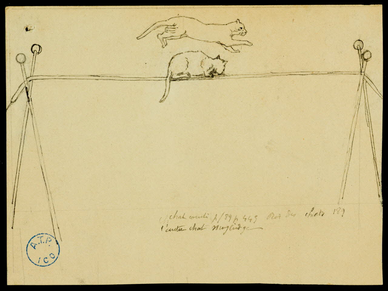 partie d'un ensemble de dessins Chat 1968.102.767.9 Photo