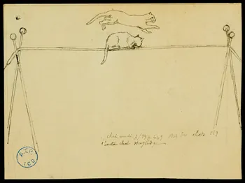 partie d'un ensemble de dessins Chat 1968.102.767.9 Photo