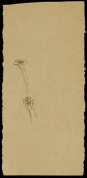 partie d'un ensemble de dessins Main et instrument 1968.102.769.56 Photo