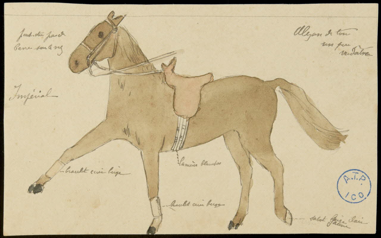 partie d'un ensemble de dessins Cheval 1968.102.860.1 Photo