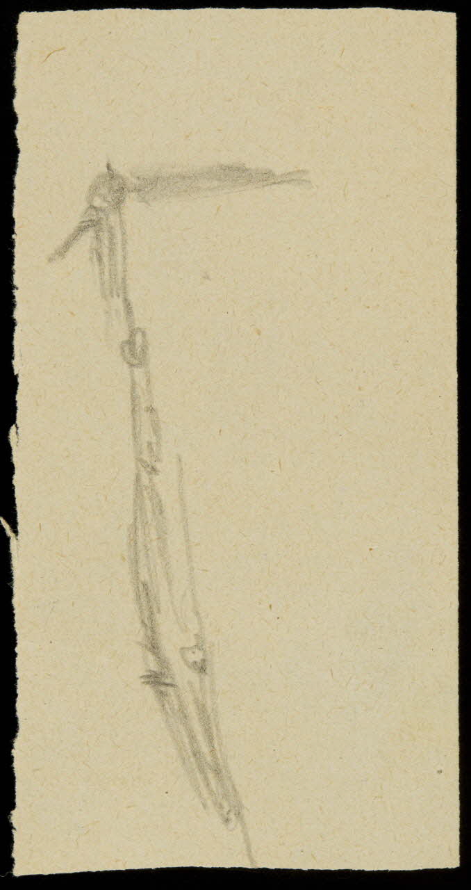 partie d'un ensemble de dessins Structure pour funambule 1968.102.913.18 Photo