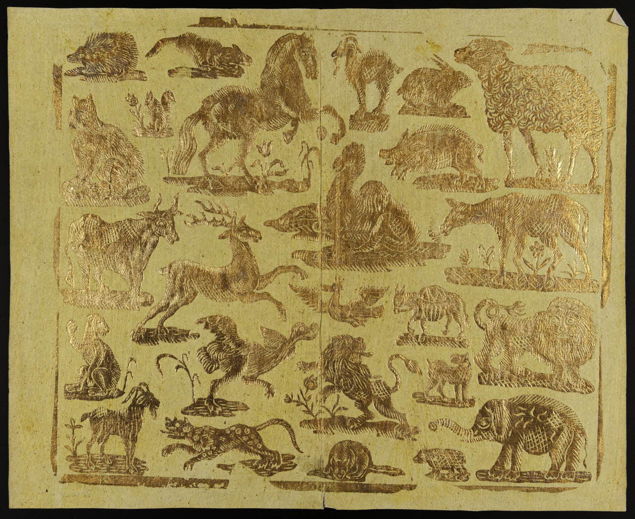 estampe Animaux 1968.51.226 Photo