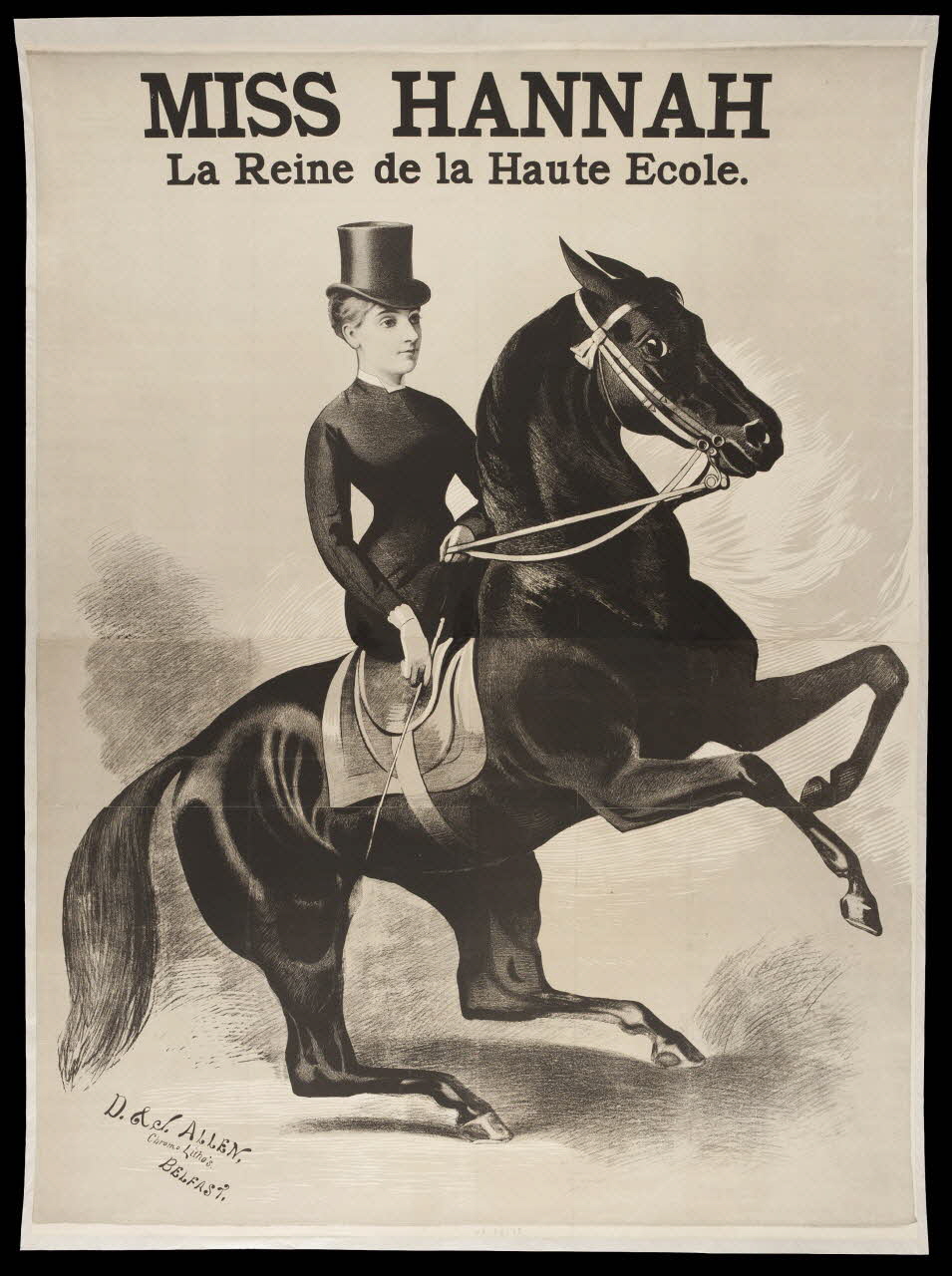 affiche MISS HANNAH.  La Reine de la Haute Ecole. 1968.65.25 Photo