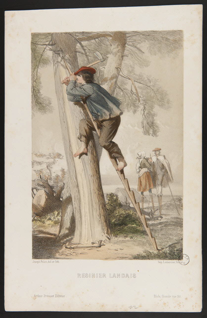estampe RESINIER LANDAIS 1975.23.48 Photo