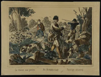 estampe La Chasse aux perdrix. 1975.23.50 Photo