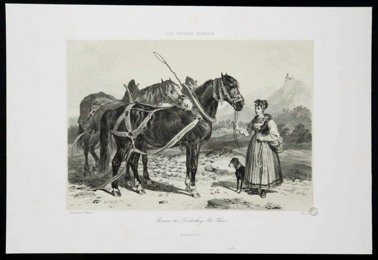 estampe LES CHEVAUX FRANÇAIS 1975.23.53 Photo